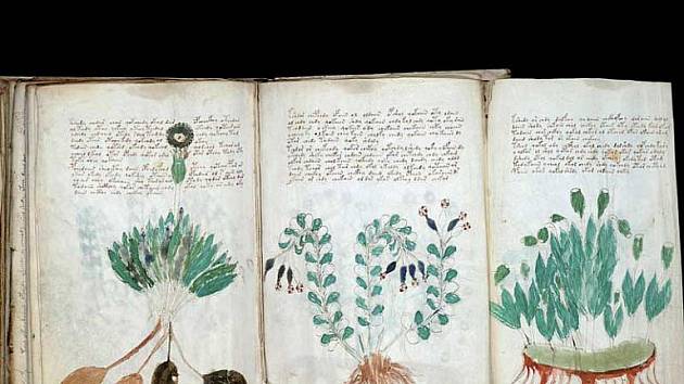 Rukopis je plný nepříliš zdařilých ilustrací rostlin.