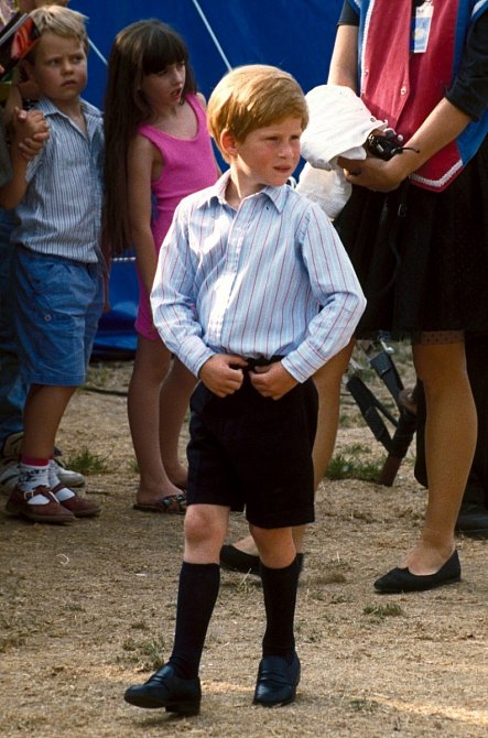 Princ Harry navštěvoval stejné školy jako jeho starší bratr William. 