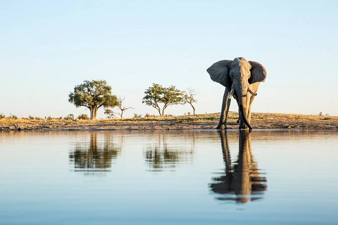 Botswana: Řeka z televize