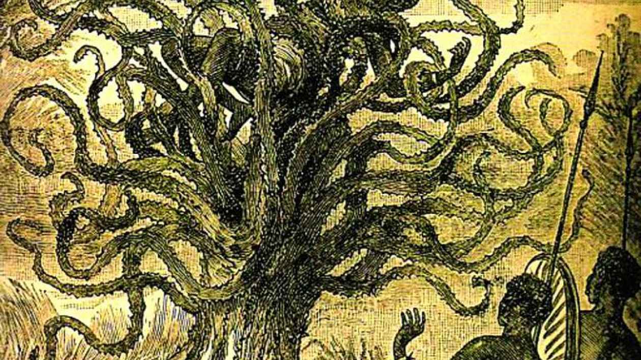 Дерево людоед. Мадагаскарское дерево людоед. Дерево Пожиратель. Дерево-людоед с тёмного холма книга.