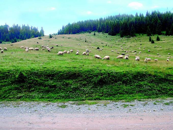 Příroda znamená i v Rumunsku, kde se vrátíte o sto let zpátky, klid a pohodu.