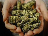 Marihuana se prodávala po uncích - to je asi 28 gramů.