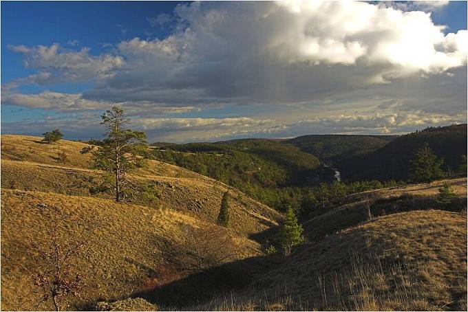 Mohelenská hadcová step (Kraj Vysočina)