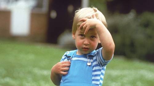 Malý princ William
