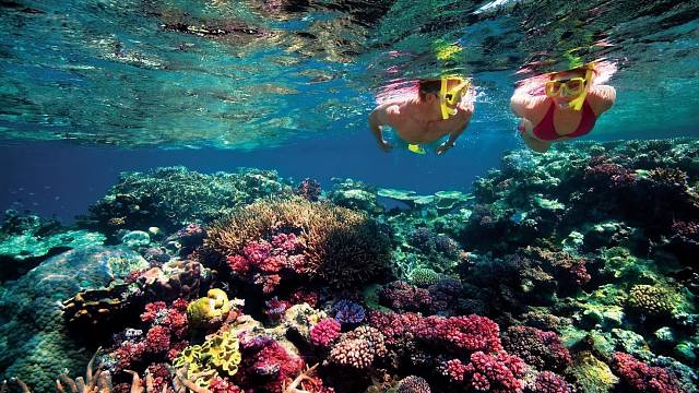 Pro amatérské i profesionální potápěče je Tichomoří vodami zaslíbenými.