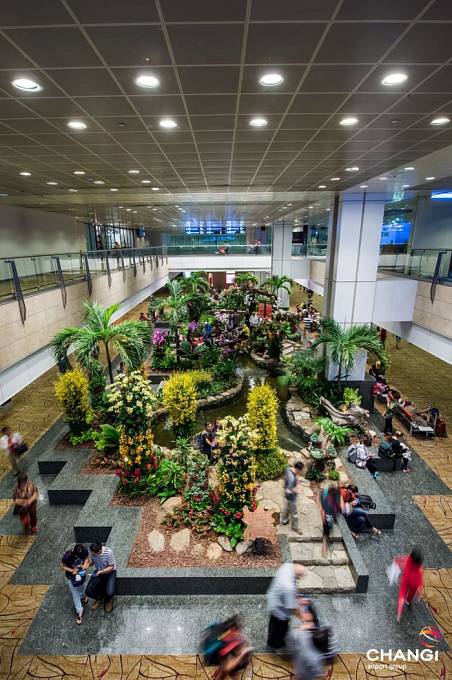 Singapurské letiště Changi je zvoleno nejlepším letištěm