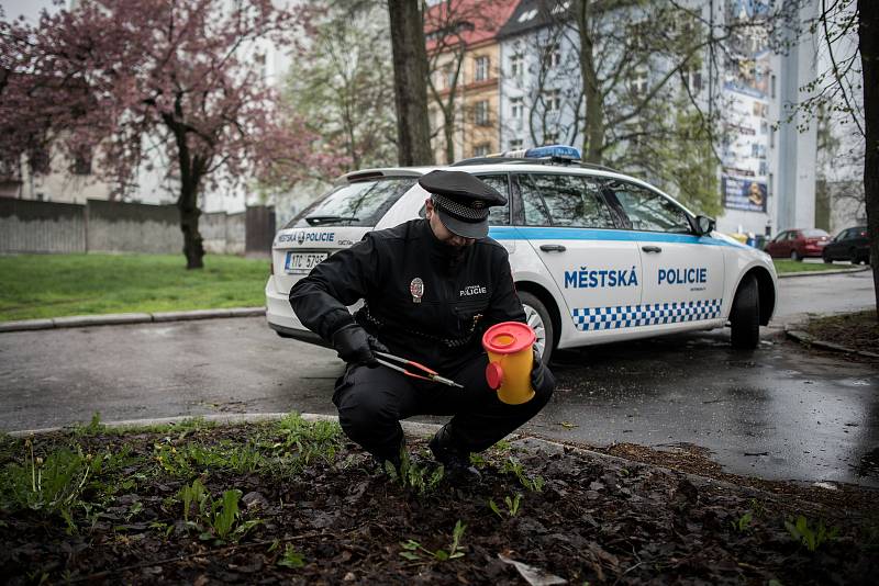 Do celorepublikové akce Jehla se pravidelně zapojuje i Městská policie Ostrava. Ilustrační snímek z dubna 2017.