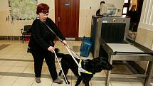 Cvičení nazvané Zásady bezpečnostních prohlídek u nevidomých lidí s vodícími psy absolvovali v pátek příslušníci ostravské justiční stráže.