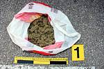 Celníci zadrželi zásilku drog a odhalili pěstírnu marihuany. 