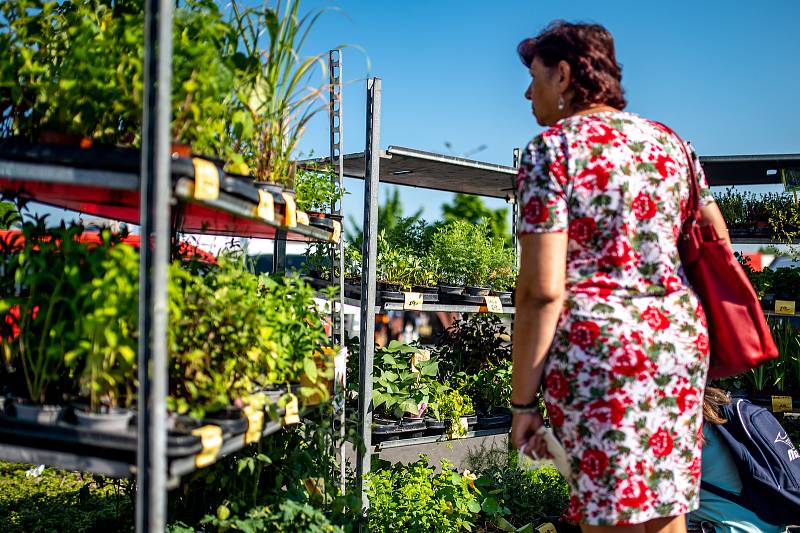 Farmářské trhy u obchodního centra Futurum. 19. června 2021 v Ostravě.