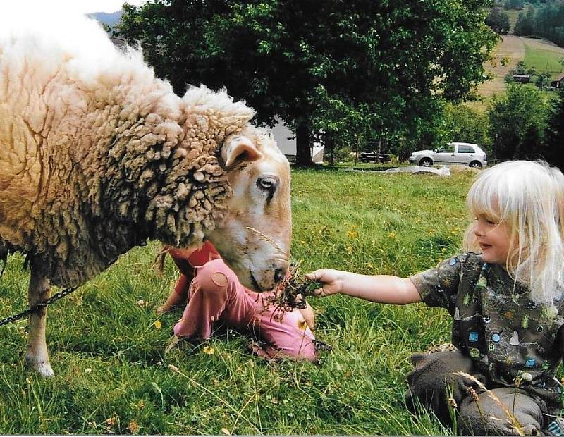 Školička na farmě: děti si užijí pečování o zvířata i rostliny