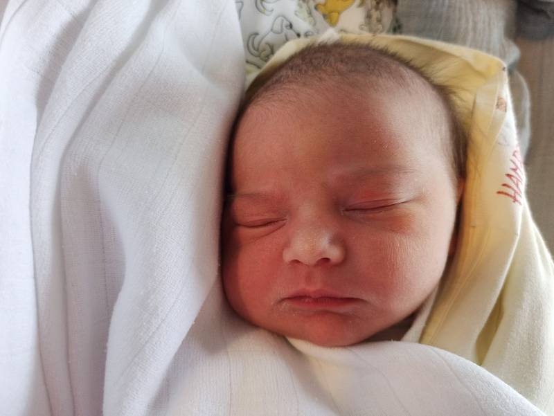 Stella Hamrozi, Třinec, narozena 20. listopadu 2022 v Třinci, míra 51 cm, váha 3470 g. Foto: Gabriela Hýblová