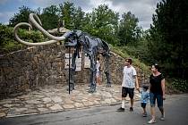Představení kosterního modelu mamuta srstnatého v Zoologické zahradě Ostrava 15. srpna 2018.
