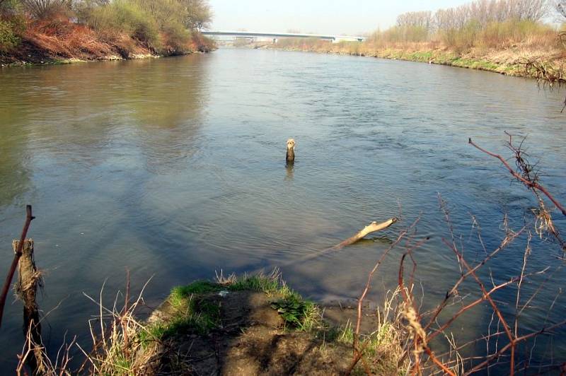 Hydrologicky nejzazší výspa české části povodí Odry je soutok Odry s Olší. Pod ním Odra opouští území ČR (km -3,9 - pohled po vodě, v pozadí mosty v Polsku)