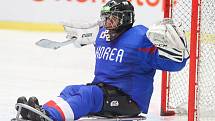 Mistrovství světa v para hokeji 2019, Korea - Česká republika (zápas o 3. místo), 4. května 2019 v Ostravě. Na snímku Lee Jae Woong (KOR).