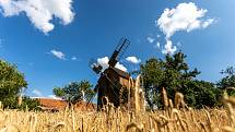 Partutovický dřevěný větrný mlýn, léto 2021. Jeho majitelem je Jan Kandler.