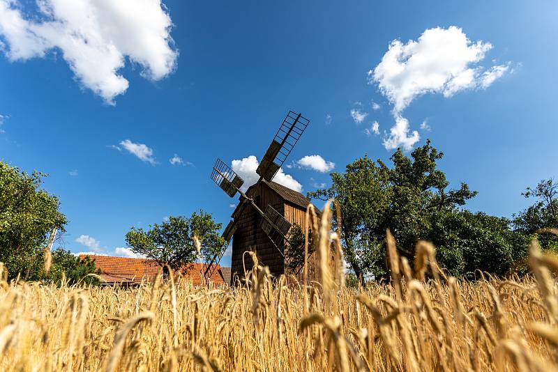 Partutovický dřevěný větrný mlýn, léto 2021. Jeho majitelem je Jan Kandler.