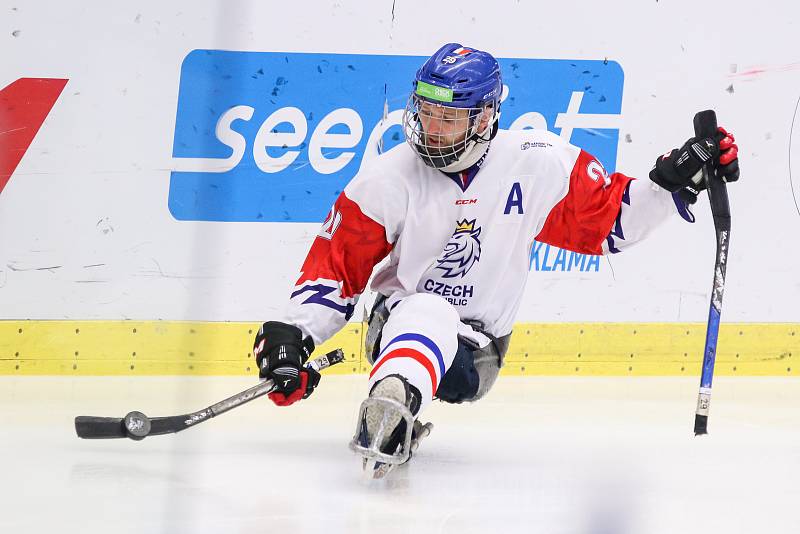 Mistrovství světa v para hokeji 2019, 3. května 2019 v Ostravě. Na snímku Kubes Pavel (CZE).