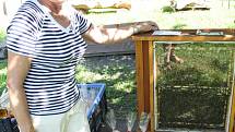 Jak včely, med i vosk využívali staří Slované? Odpověď dostali v sobotu návštěvníci chotěbuzského archeoparku.
