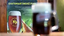 Svatomartinské pivo v Ostravě.