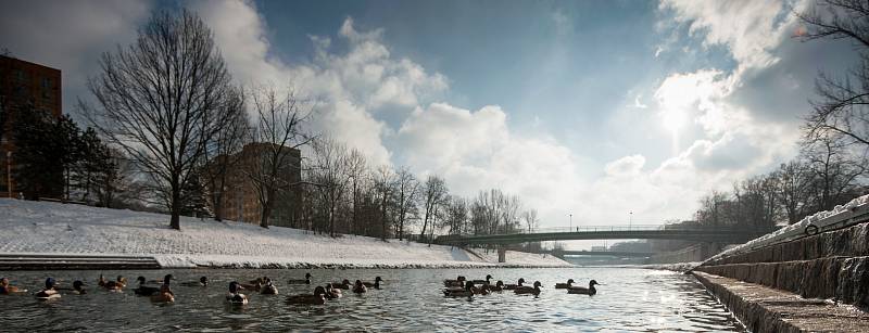 Řeka Ostravice v zimě.