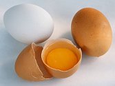 Hlavním zdrojem salmonely, bakterie, která je běžnou příčinou otravy jídlem, jsou vejce. 