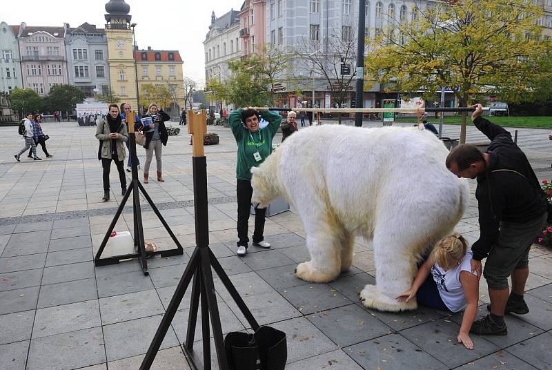 Medvědice Paula bojuje za Arktidu. 