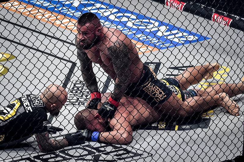 MMA Octagon 11 v Ostravar aréně, 16. března 2019 v Ostravě. Na snímku (v červeném) Karlos Vémola proti Pawel Brandýs.