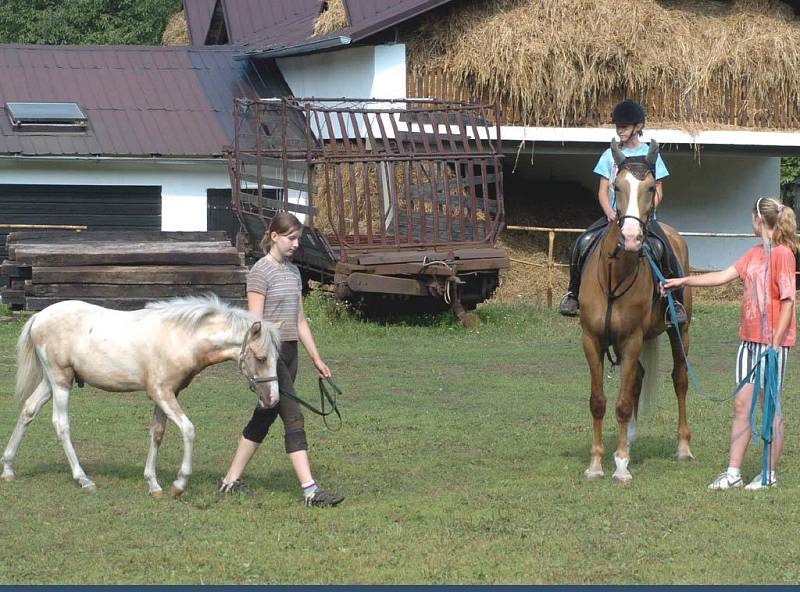 Děti a koně na táboře ve Slezské Ostravě