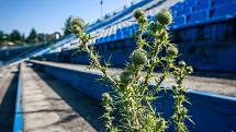 Chátrající stadion Bazaly se promění v moderní tréninkové centrum pro fotbalovou mládež.