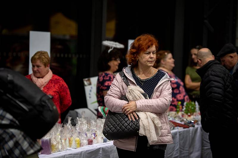 Advent plný křídlení - XIV. ročník festivalu dobročinosti v Gongu, 28. listopadu 2019 v Ostravě.