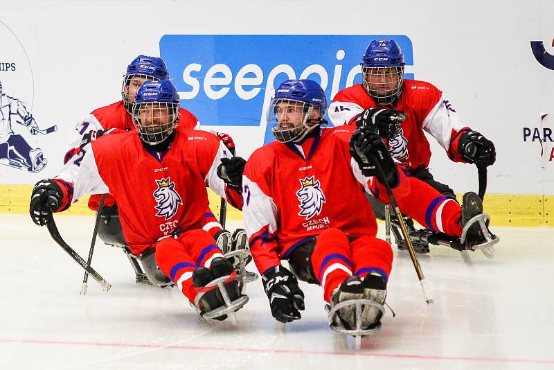 Mistrovství světa v para hokeji 2019, Česká republika - Japonsko, 27. dubna 2019 v Ostravě. Na snímku radost Česka.