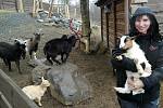 Skalka Family Park v Ostravě-Porubě platí za vyhlášené místo pro zábavu a odpočinek, do zdejší minizoo se však nadále nesmí.