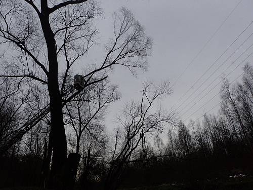 Zásah ostravských hasičů u větrem vyvráceného stromu ve Slezské Ostravě. 
