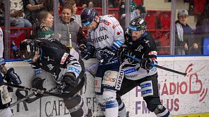 Zápas 40. kola hokejové extraligy Karlovy Vary - Vítkovice Ridera 0:3. Fotogalerie Petra Kotaly je z utkání Vítkovice - Litvínov 5:1 (38. kolo extraligy - 21. 1. 2024).