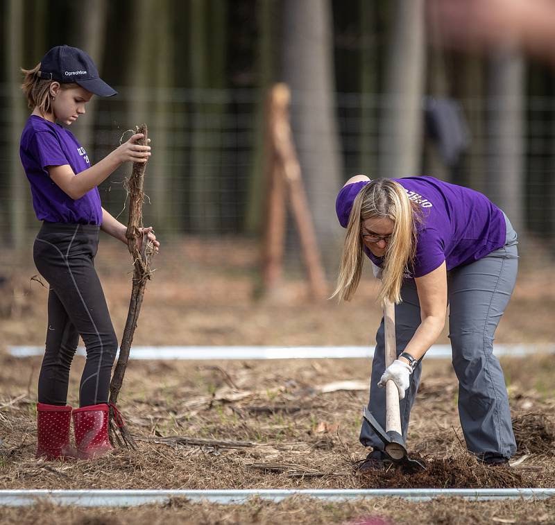 Sázíme lesy nové generace, 19. řina 2019 v Šilheřovicích.