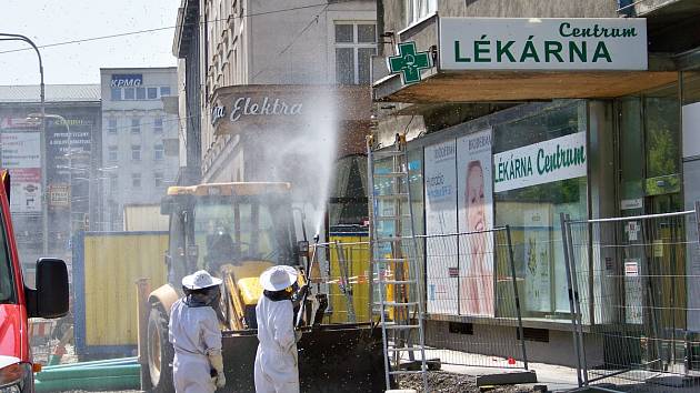 Stovky včel v centru Ostravy zaměstnaly strážníky i hasiče.