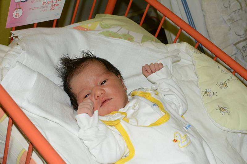 Ema Mrvová,22. 12. 2019, 50 cm, 3130 g, , Opava-Píšť