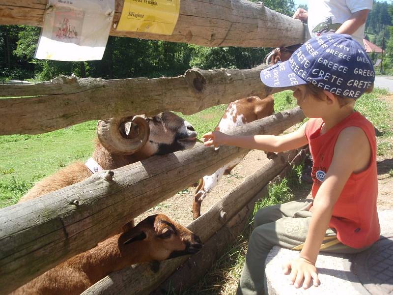 Školička na farmě: děti si užijí pečování o zvířata i rostliny