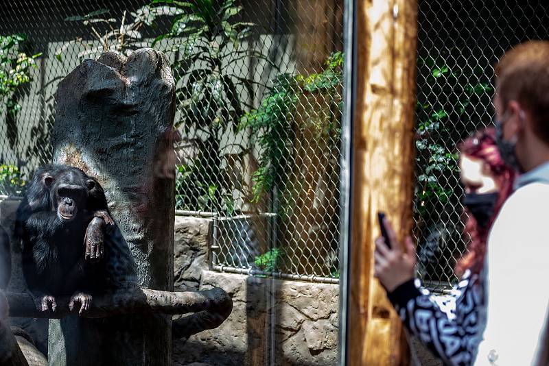 Zoologická zahrada Ostrava, poslední květnový víkend.