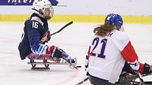 Mistrovství světa v para hokeji 2019, 3. května 2019 v Ostravě. Na snímku (zleva) Farmer Declan (USA), Kvoch Tomas (CZE).