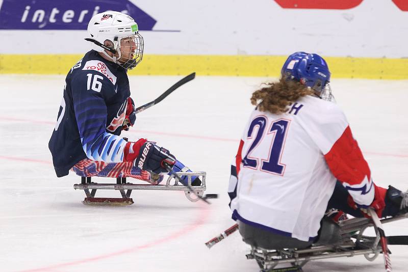 Mistrovství světa v para hokeji 2019, 3. května 2019 v Ostravě. Na snímku (zleva) Farmer Declan (USA), Kvoch Tomas (CZE).