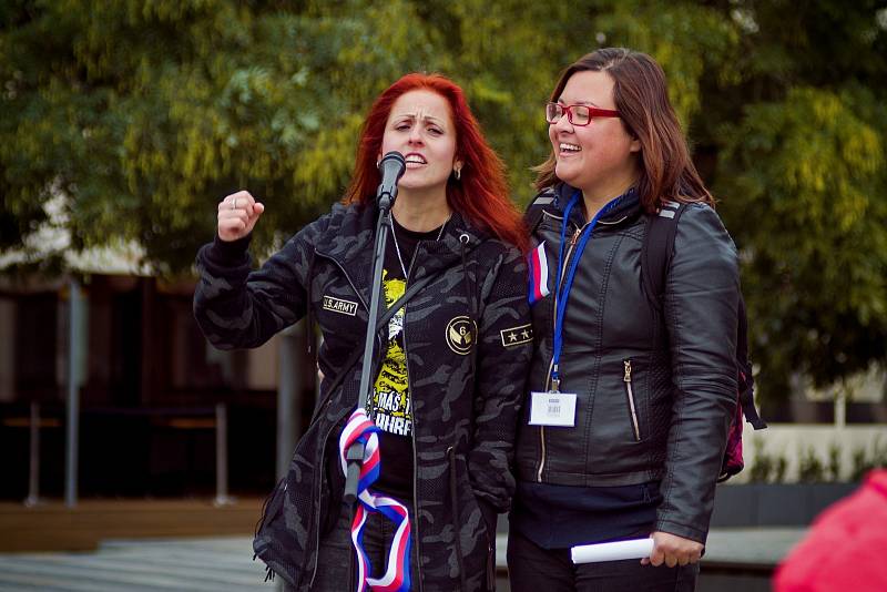 Nedělní demonstrace v Ostravě přilákala především rodiny s dětmi a starší lidi.