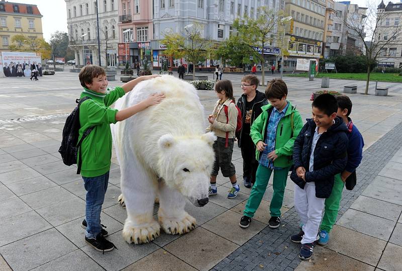 Medvědice Paula bojuje za Arktidu. 