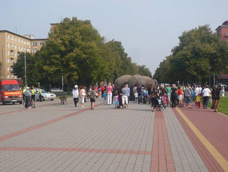 Sloni v Porubě