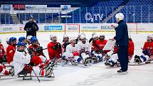 Čeští parahokejisté si před mezinárodním turnajem  turnaj International Para Hockey Cup 2023 v Ostravě společně zatrénovali s mistry světa z USA.