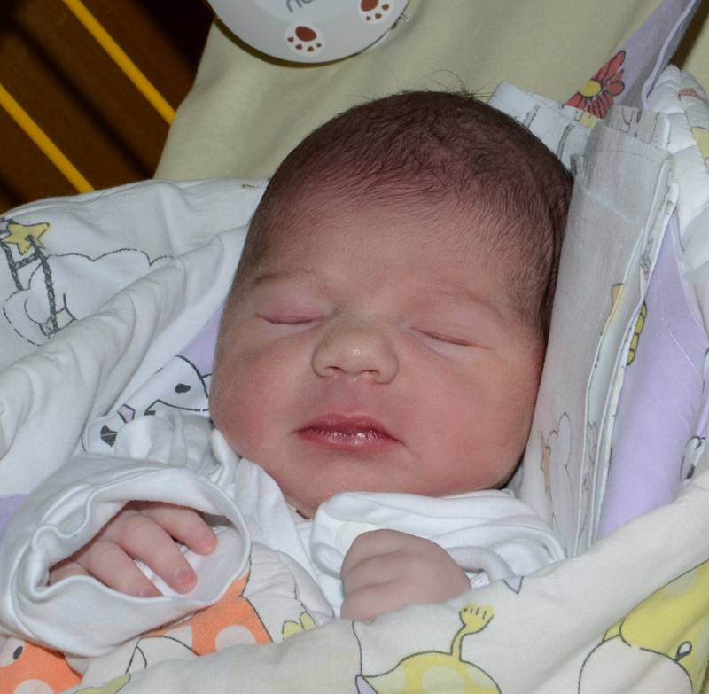 MICHAELA RŮŽIČKOVÁ   13. 6. 2016, 2850 g, 48 cm, Opava