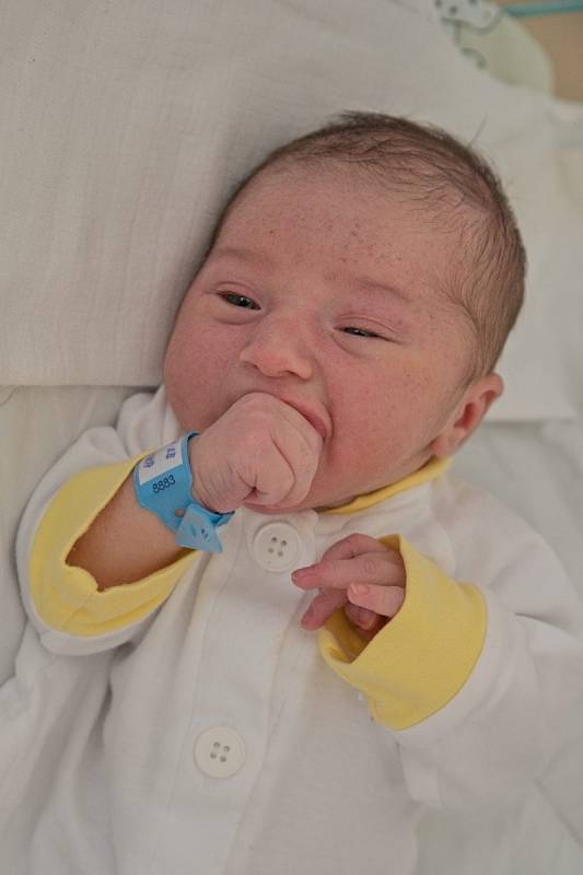 Matyas Pražienka, Petřvald u Karviné, narozen 11. června 2022 v Karviné, míra 49 cm, váha 3310 g. Foto: Marek Běhan