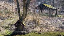 Okolí Ždánického lesa a zaniklé středověké vesnice Konůvky působí tajemně i přitažlivě.