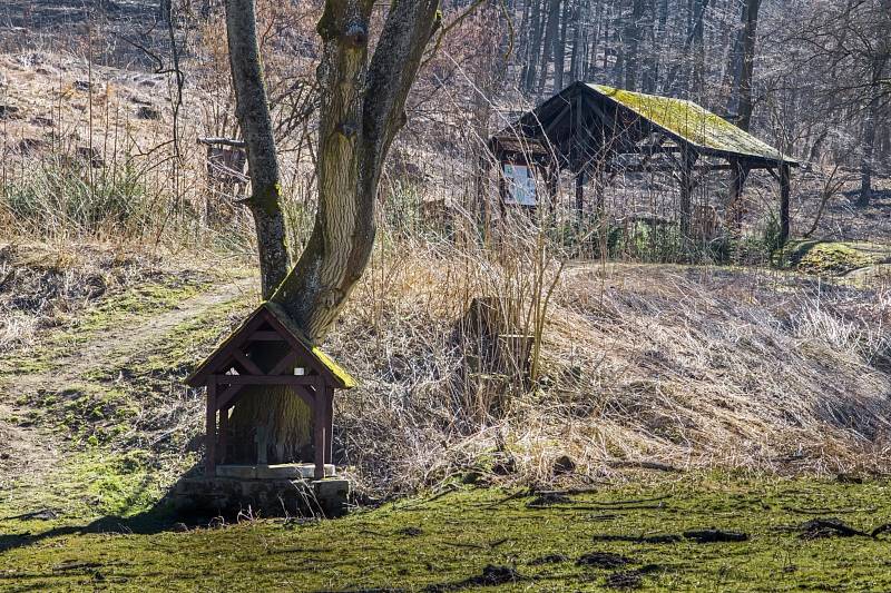 Okolí Ždánického lesa a zaniklé středověké vesnice Konůvky působí tajemně i přitažlivě.